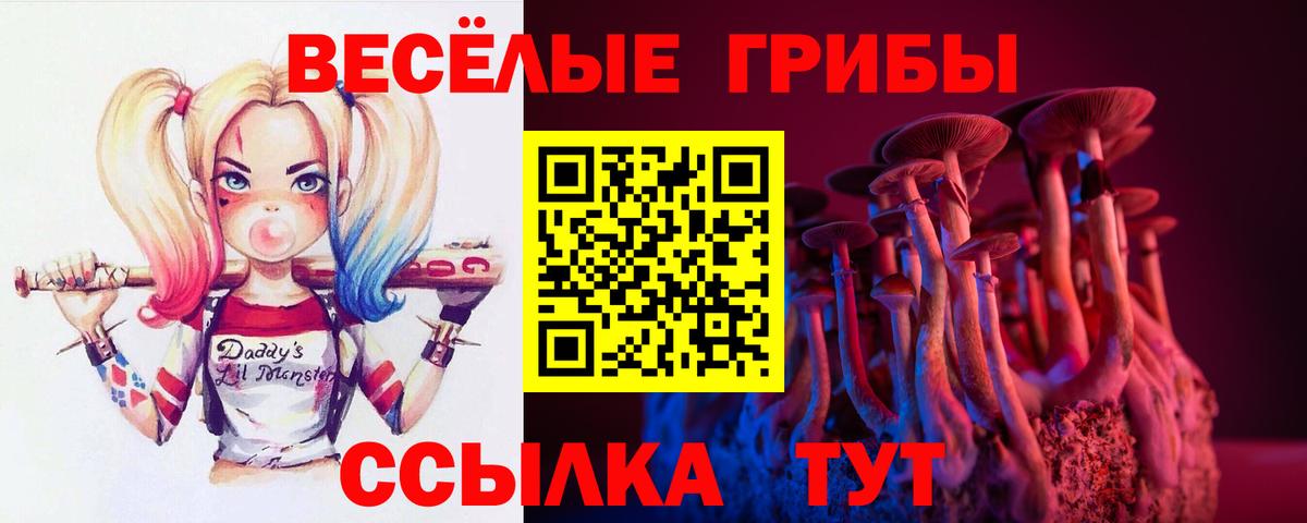 Псилоцибиновые грибы Psilocybe Тула
